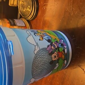 Disney Travel Popcorn Bucket